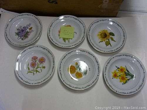 Lot #0062 (1 of 5)