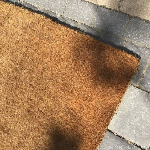 Lot #0034 (1 of 6)