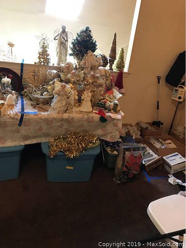 Lot #0255 (1 of 12)