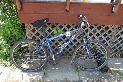 Lot #0064 (1 of 9)