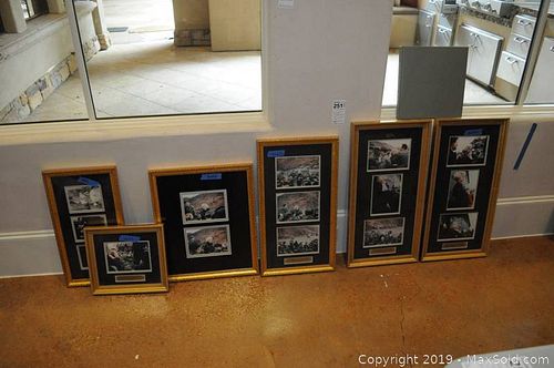 Lot #0251 (1 of 10)