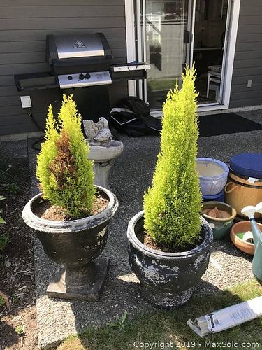 Lot #0352 (1 of 7)