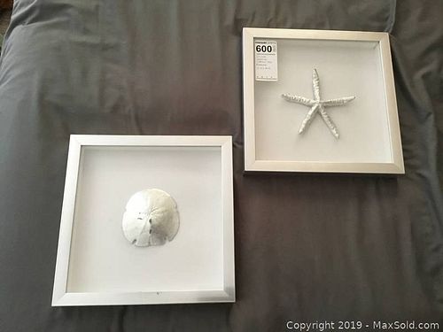 Lot #0600 (1 of 6)