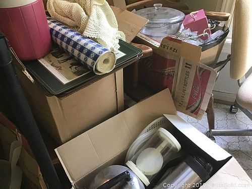 Lot #0251 (1 of 12)