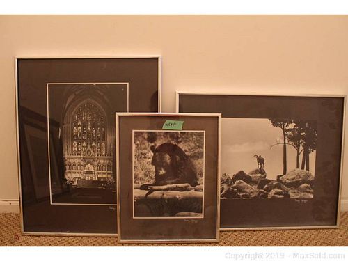 Lot #0614 (1 of 18)