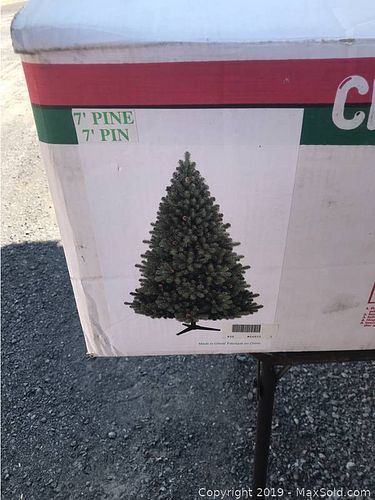 Lot #0024 (1 of 4)