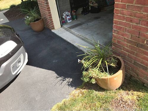 Lot #0645 (1 of 7)