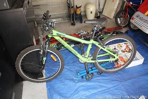 Lot #0080 (1 of 11)