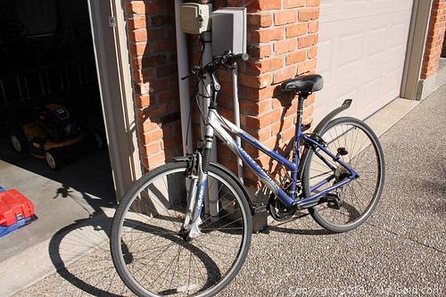 Lot #0095 (1 of 23)