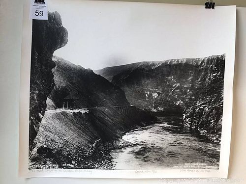 Lot #0059 (1 of 15)