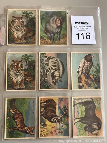 Lot #0116 (1 of 4)