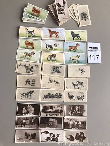 Lot #0117 (1 of 6)