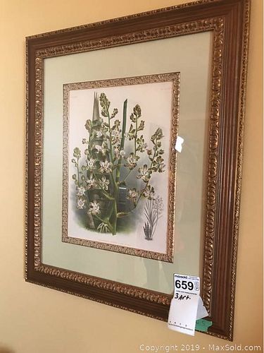 Lot #0659 (1 of 12)