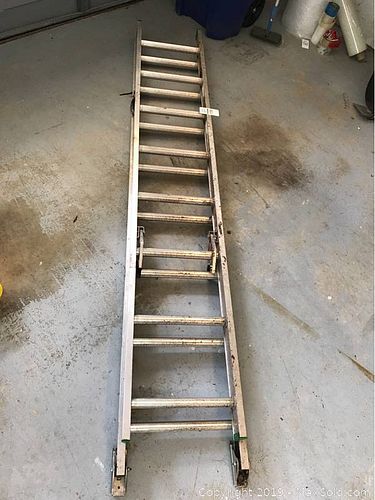 Lot #0139 (1 of 3)
