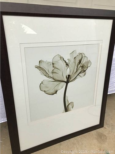 Lot #0051 (1 of 4)