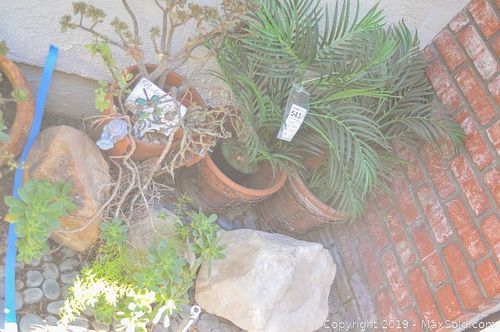 Lot #0543 (1 of 7)