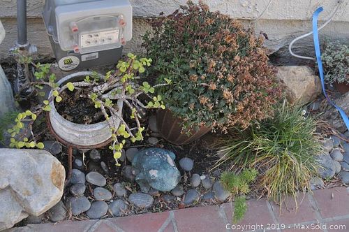 Lot #0544 (1 of 5)
