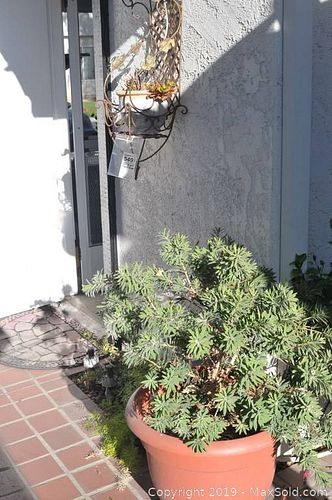 Lot #0549 (1 of 7)