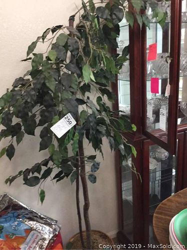 Lot #0250 (1 of 5)