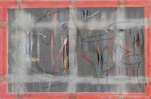 Lot #0030 (1 of 7)