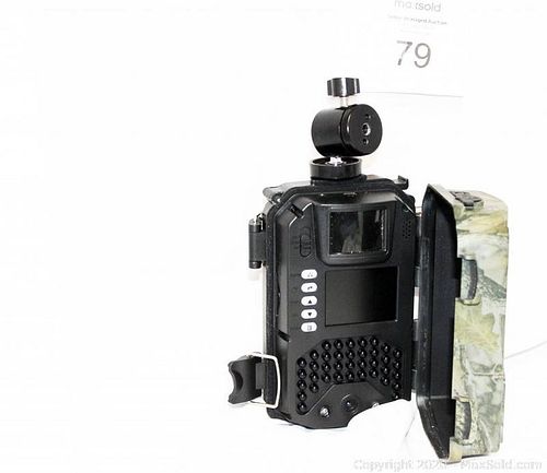 Lot #0079 (1 of 5)