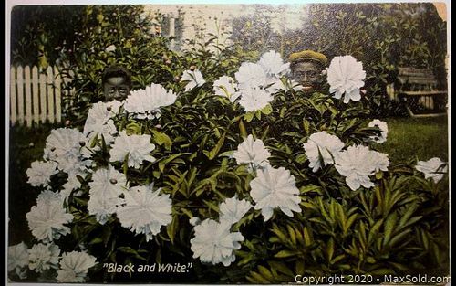 Lot #0041 (1 of 2)