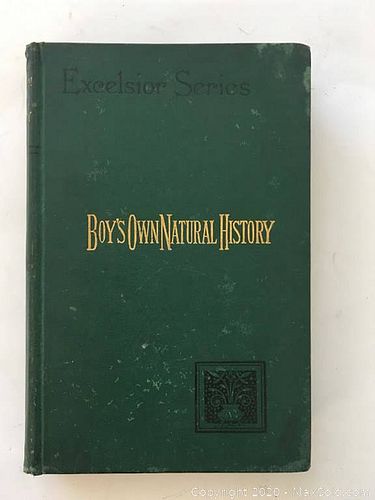 Lot #0051 (1 of 10)