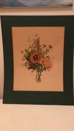 Lot #0029 (1 of 13)