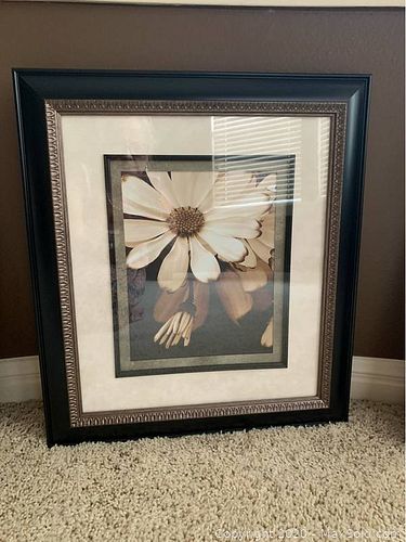 Lot #0051 (1 of 1)
