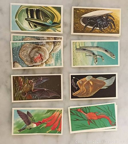 Lot #0078 (1 of 4)