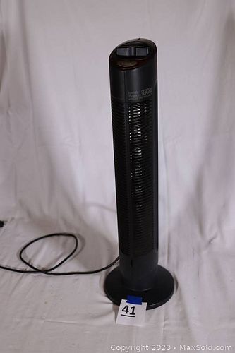 Lot #0041 (1 of 3)