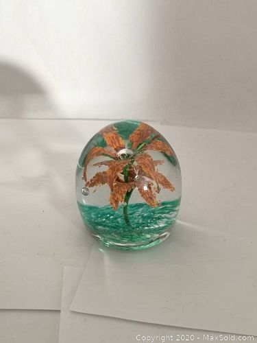 Lot #51 (1 of 6)