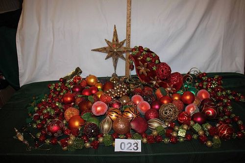 Lot #23 (1 of 12)