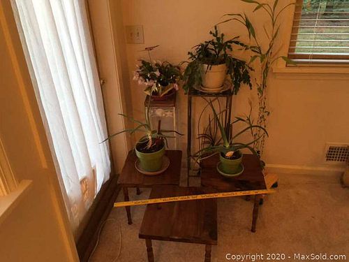 Lot #0080 (1 of 11)