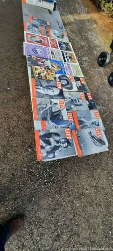 Lot #46 (1 of 10)