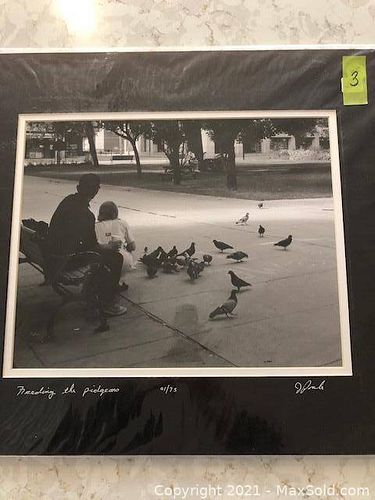 Lot #3 (1 of 1)