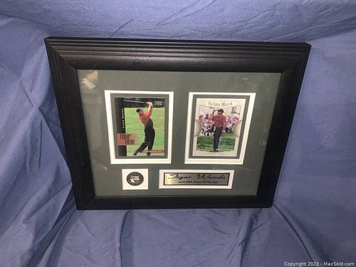 Lot #106 (1 of 2)