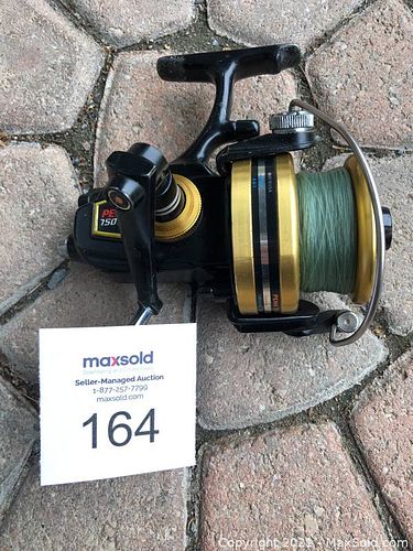 Lot #164 (1 of 3)