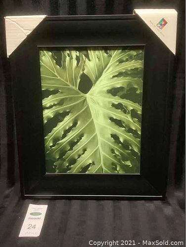 Lot #24 (1 of 5)
