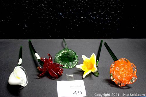 Lot #49 (1 of 8)