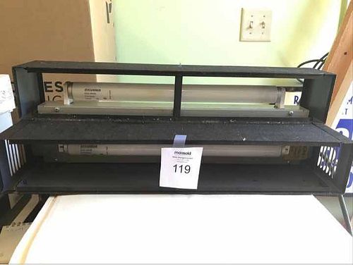 Lot #119 (1 of 5)