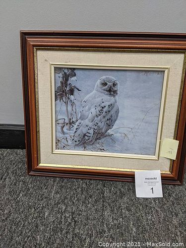 Lot #1 (1 of 3)