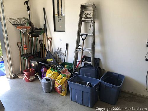 Lot #45 (1 of 6)