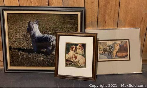 Lot #61 (1 of 5)