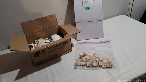 Lot #52 (1 of 3)