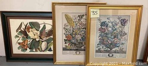 Lot #35 (1 of 12)