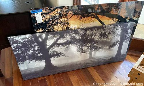Lot #510 (1 of 12)