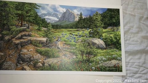 Lot #804 (1 of 12)