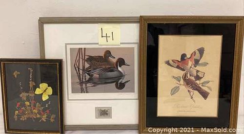 Lot #41 (1 of 14)