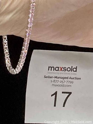 Lot #17 (1 of 13)